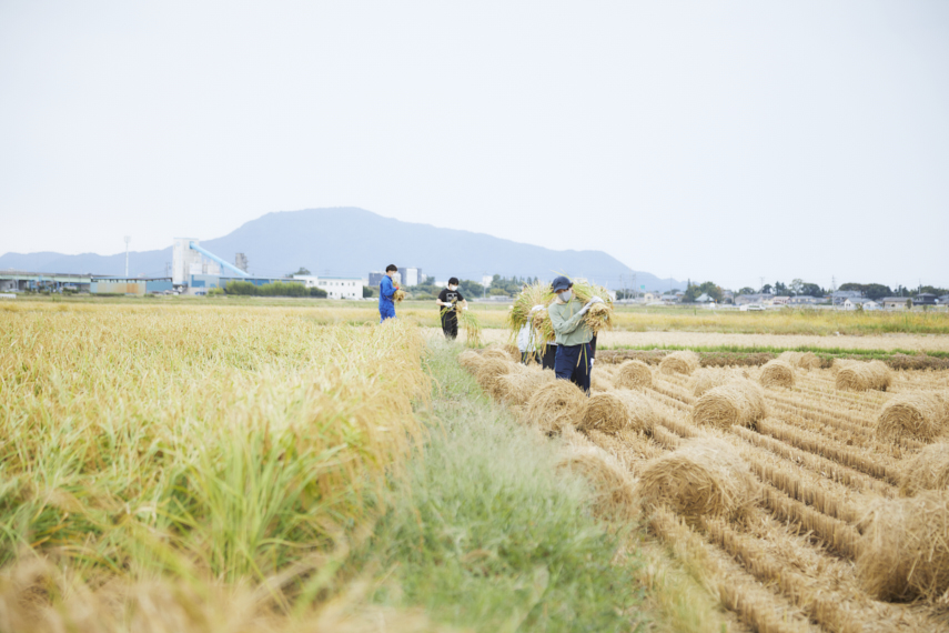 「よそ者」視点が農業変革の要。高度農業人材を育てる新潟大学のDXプログラム