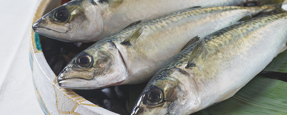 寄生虫リスクを限りなく低く！「陸上養殖」という新しい魚の選択肢とは？